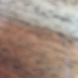 Meet your Posher, Greg